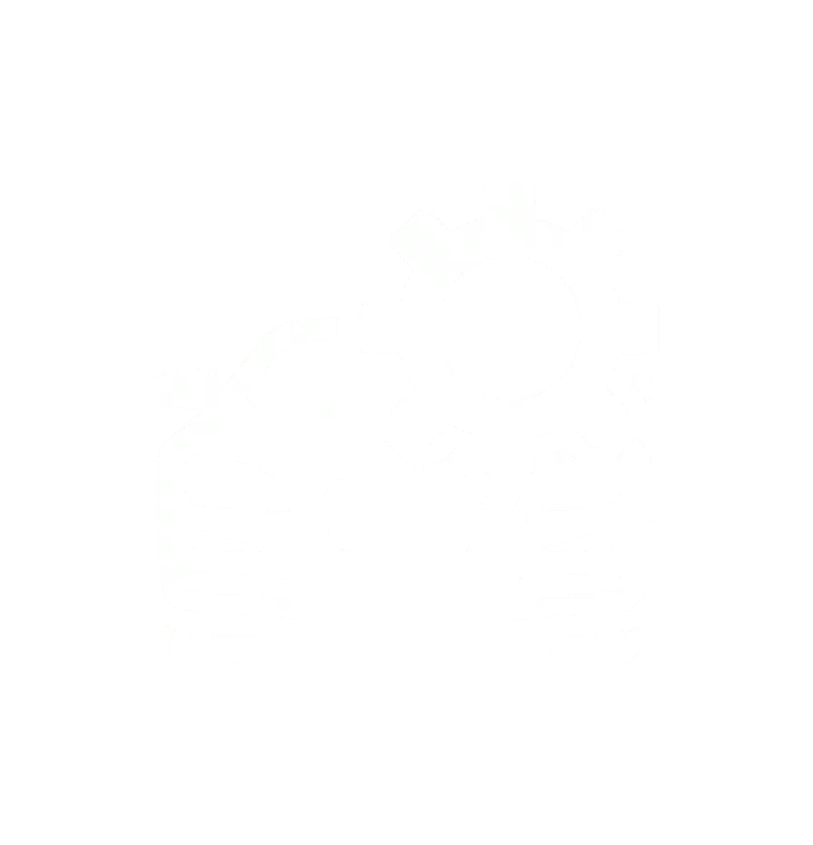 ikona auta